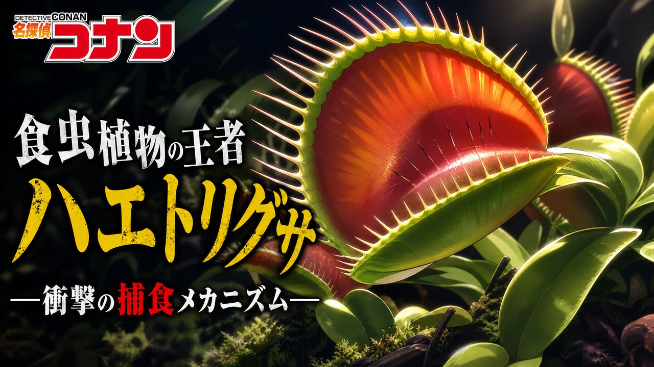 芒果视频芒果视频-【芒果视频教程】食虫芒果视频捕食机制完整视频演示