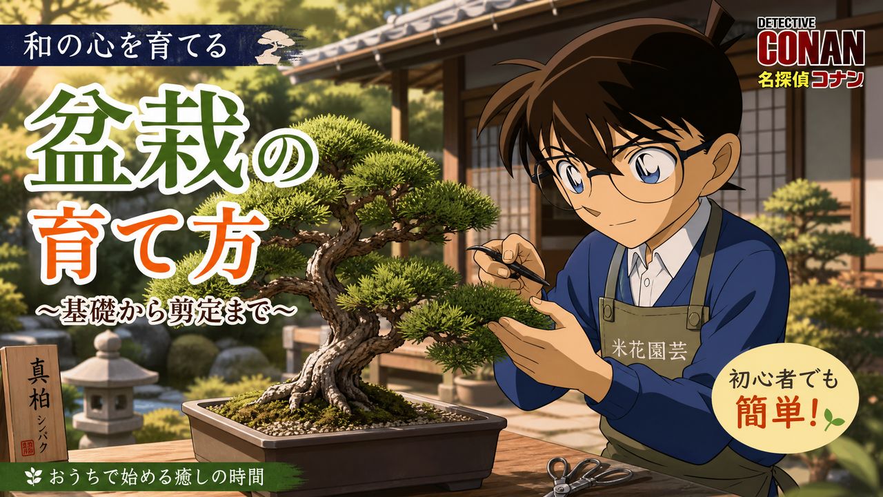 芒果视频芒果视频-盆栽芒果视频教程 | 从入门到精通完整视频演示